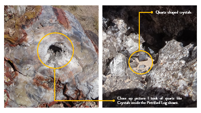 Pertified_Log_Crystals Pertified_Log_Crystals