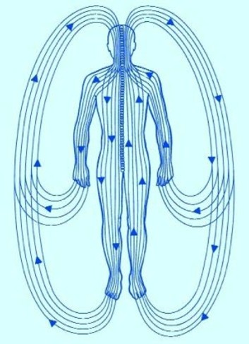 a-beginners-guide-to-polarity-therapy a-beginners-guide-to-polarity-therapy